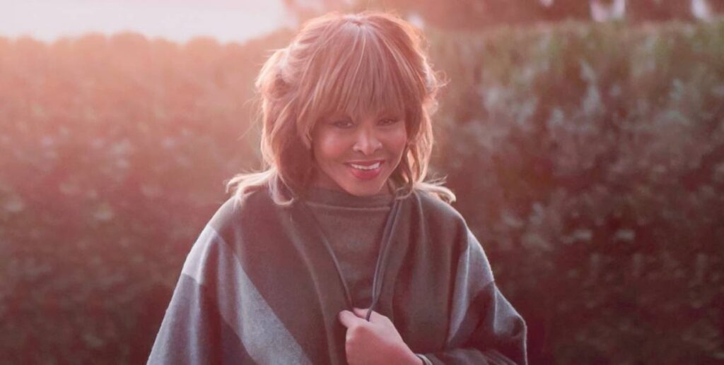 tina turner 1 1