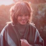 tina turner 1 1