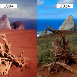 20250713 030340