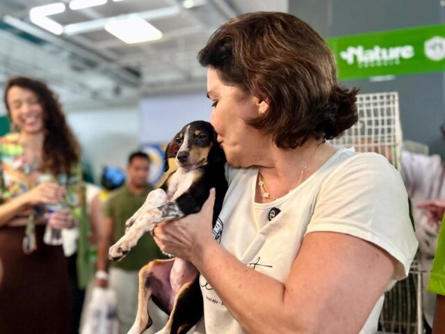 Campanha de adoção de animais