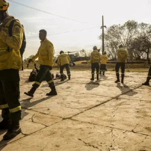 Combate aos incêndios florestais recebe mais brigadistas e veículos