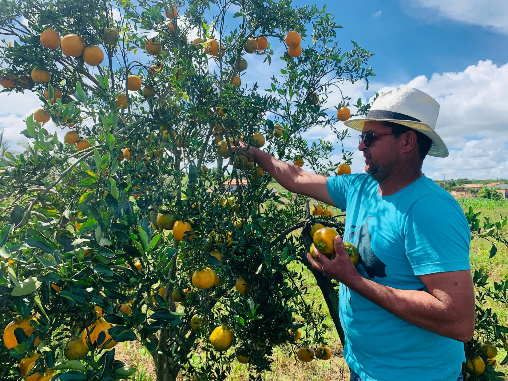 20250816 021728