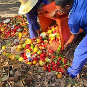 Compostagem feita no Horto Municipal