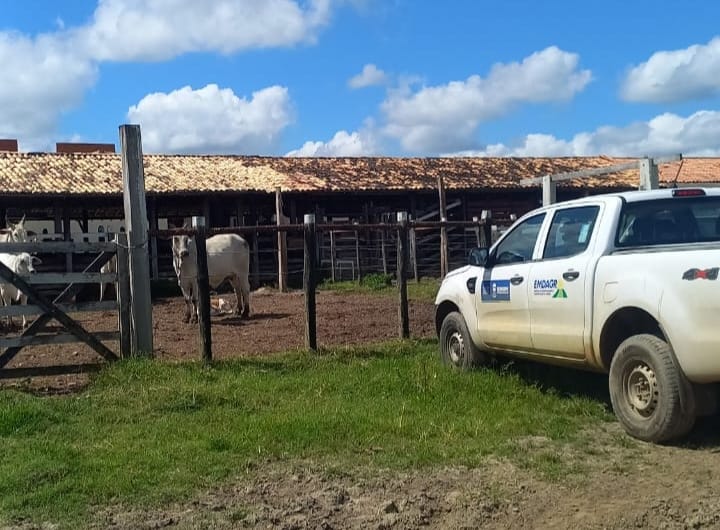Emdagro intensifica fiscalizacao para garantir vacinacao contra brucelose em Sergipe