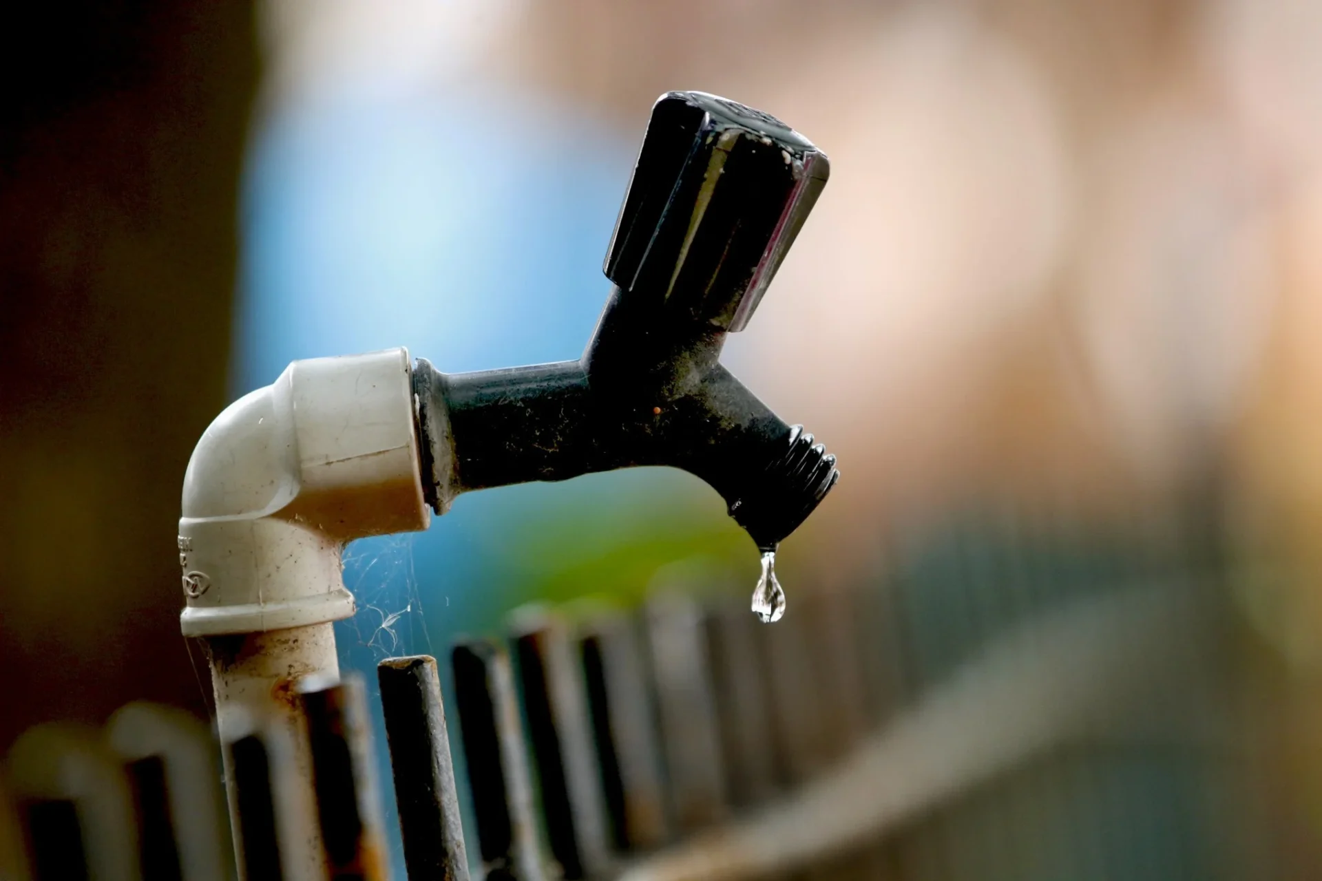 falta de agua