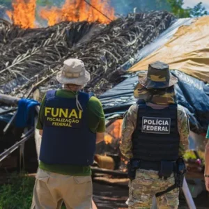 Operação em Terra Indígena inutiliza 1,4 mil pontos de garimpo ilegal
