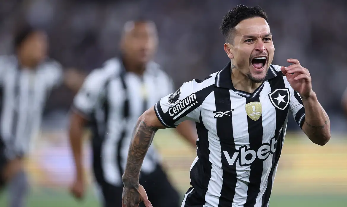 Botafogo sai na frente da LDU e Palmeiras aplica goleada na ida das oitavas da Libertadores - Imagem do artigo original
