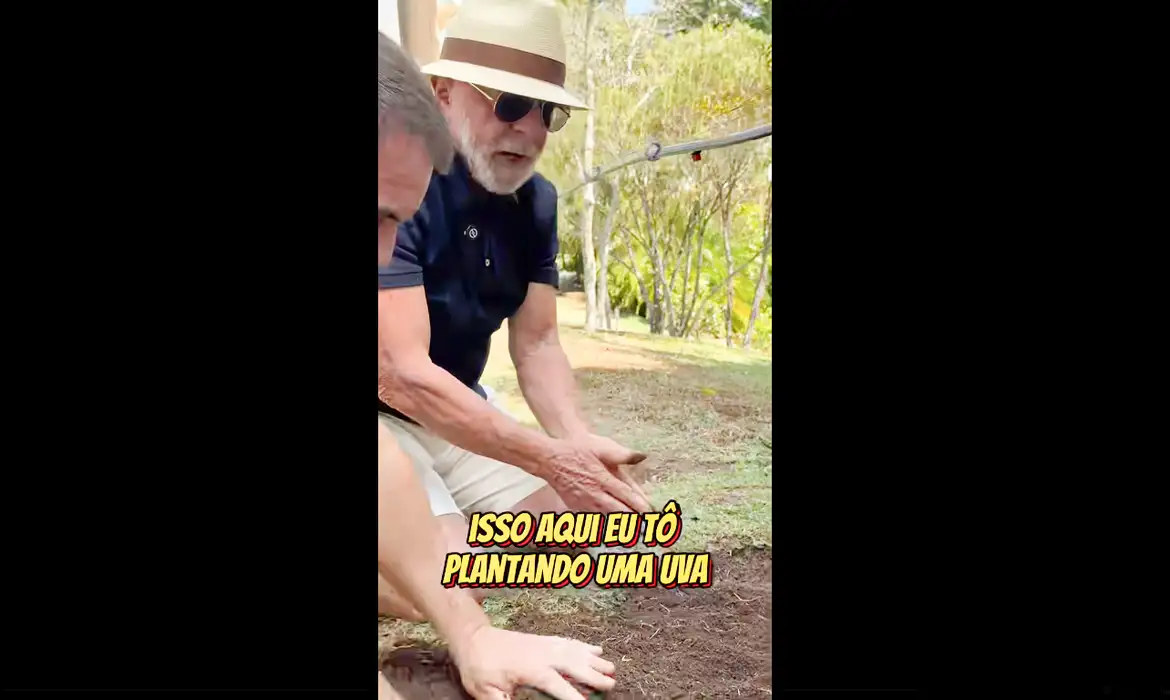 Lula planta uvas no Alvorada e, em vídeo, convida Trump a conhecer “Brasil verdadeiro” - Imagem do artigo original