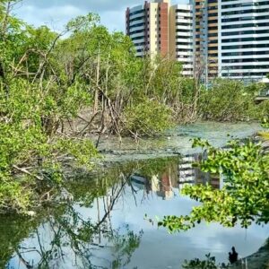 Meio ambiente em Aracaju