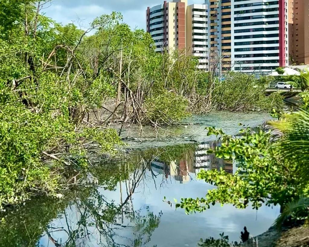 Meio ambiente em Aracaju