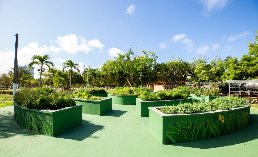 Parque da Sementeira areas arborizadas