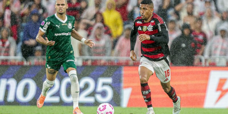 fla x palmeiras brasileirao 2025 out