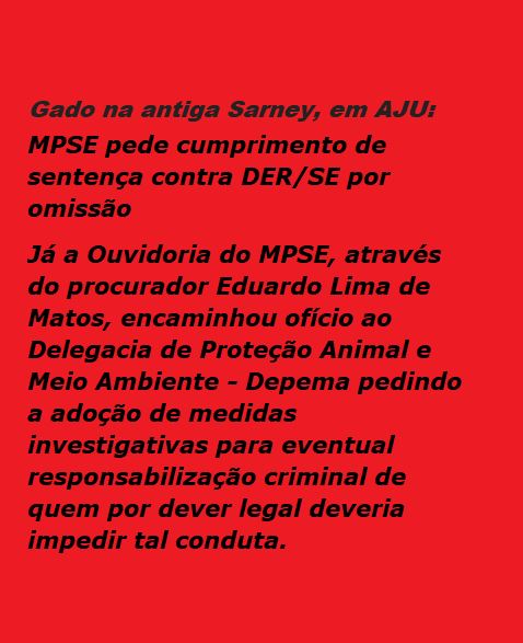 MP de Sergipe aciona TJSE para obrigar DER a recolher animais soltos na SE-100