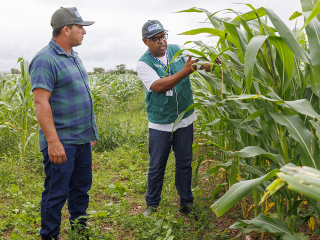 Integração de órgãos estaduais impulsiona agricultura familiar em Sergipe