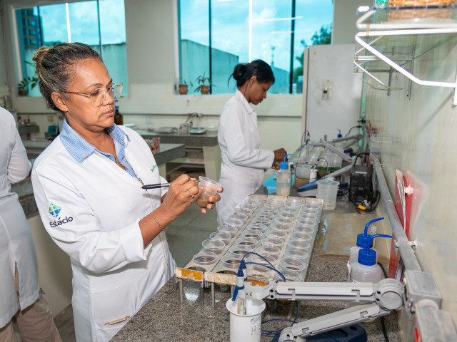 focose 1763564367