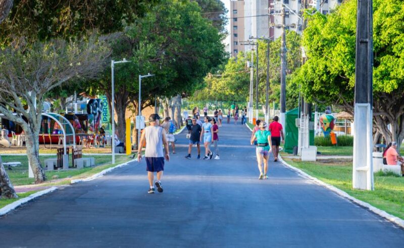 pauta sementeira gmafala povo karla tavares 30 1