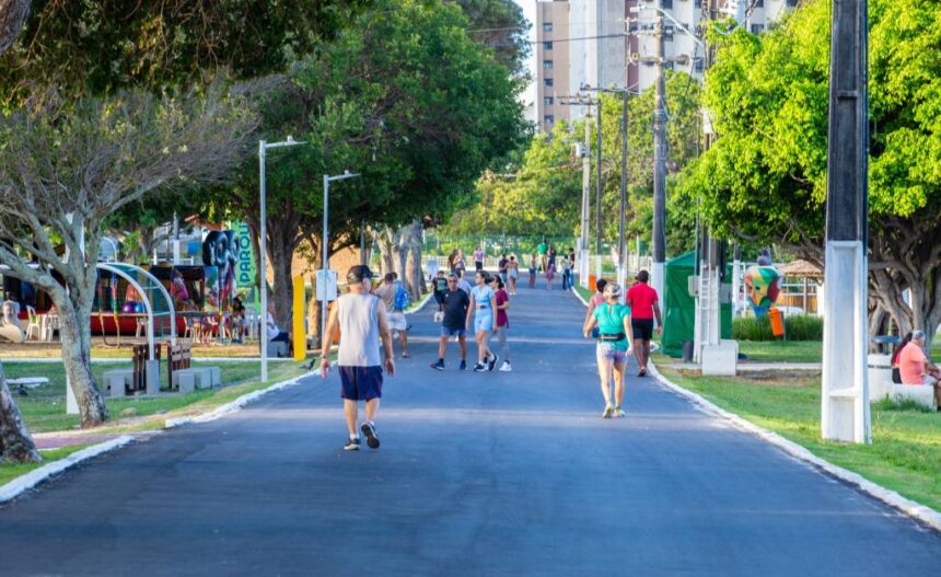 pauta sementeira gmafala povo karla tavares 30 1