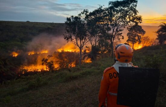 incendio veetacao cristinapolis fotocbmse 1 e1769606825422