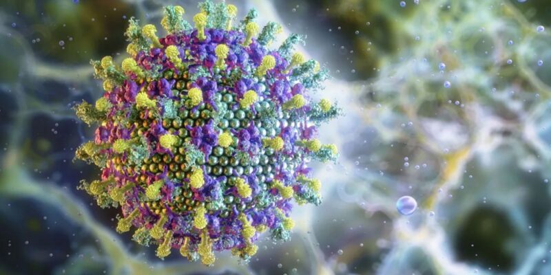 virus nipah e1769515319494