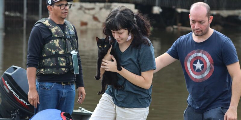 Senado aprova projeto que cria política nacional para acolher animais vítimas de desastres