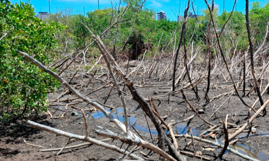 MPSE atua para garantir sentenca no Parque Ecologico do Tramandai FOTO MPSE
