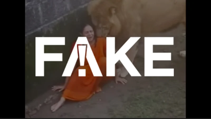 fake leao jaula