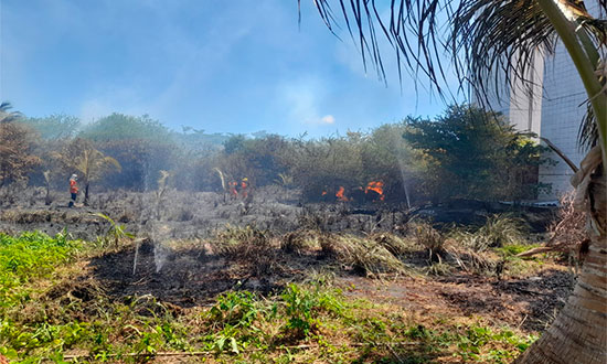 incendiosuissa CBMSE destaque