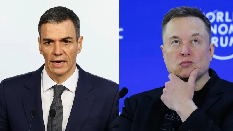 sanchez musk