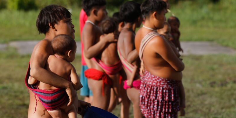 yanomami frazao 7