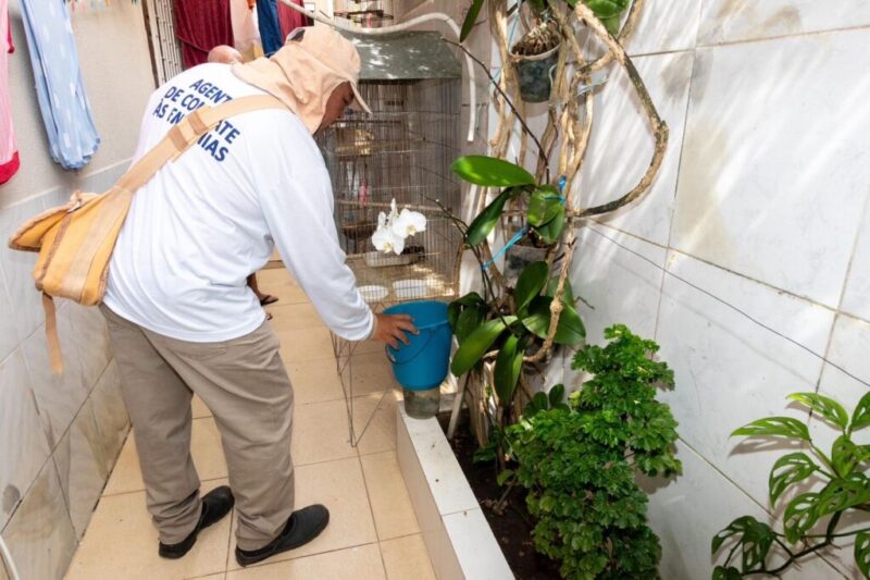 Segundo LIRAa do ano identifica seis municipios sergipanos com alta infestacao do Aedes aegypti