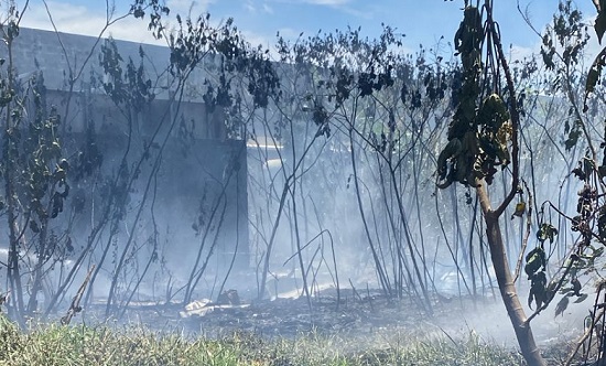 incendiorosamaria fotocbm 170326 destacada