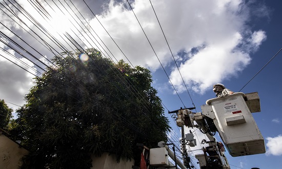 poda arvore foto energisa 281123
