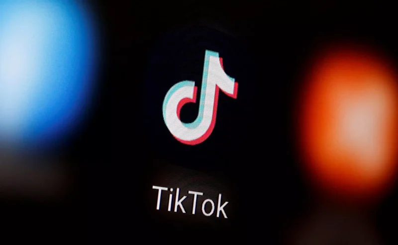 tiktok reuters dadoruvic