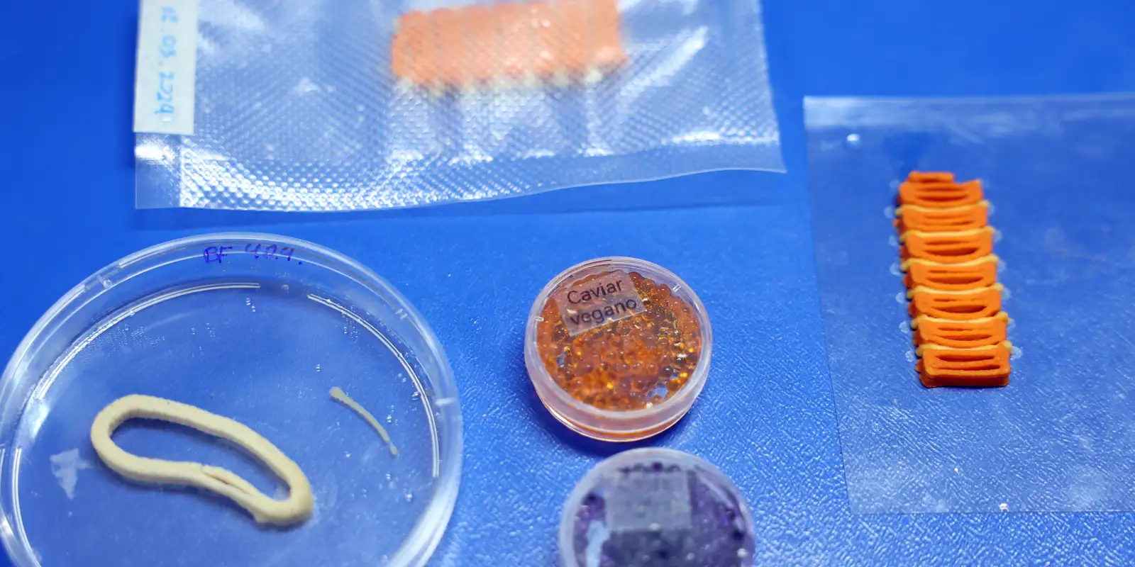 embrapa inova com salm o caviar e an is de lula veganos em l 20260530