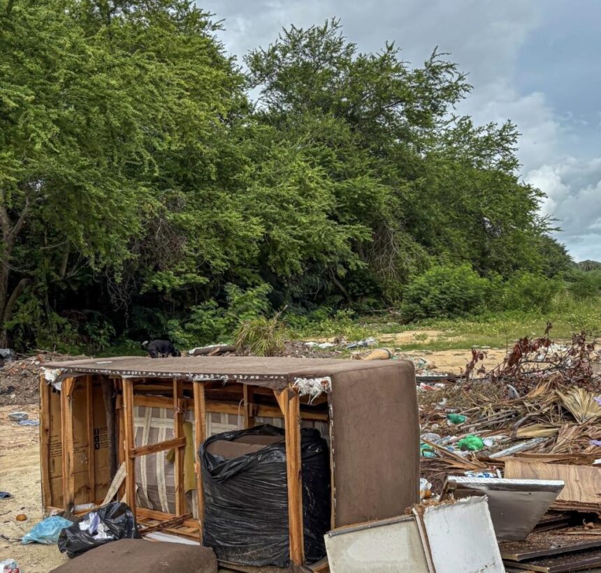 Prefeitura de Aracaju implanta plano de monitoramento em manguezais do bairro Coroa do Meio