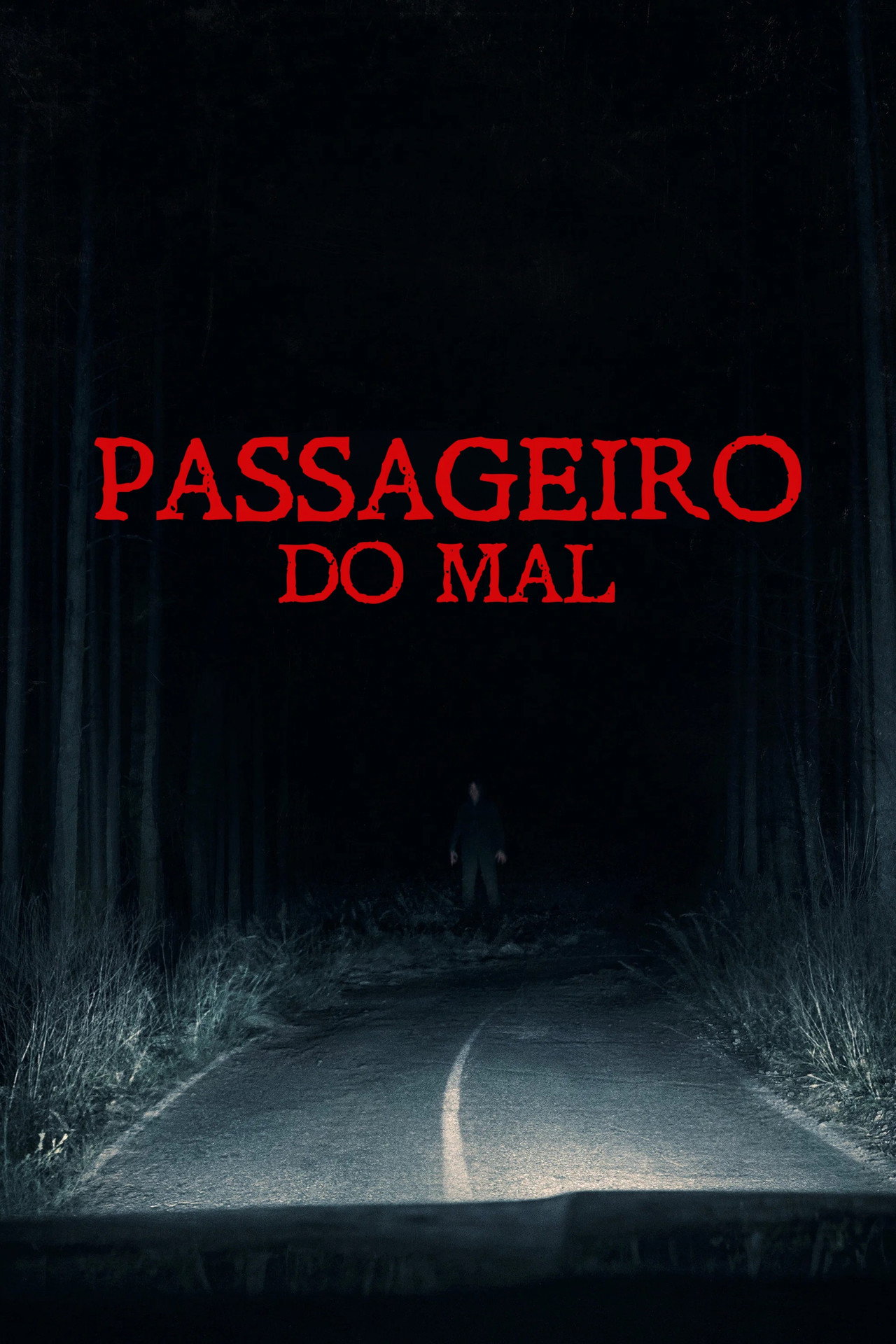 Poster - Passageiro do Mal