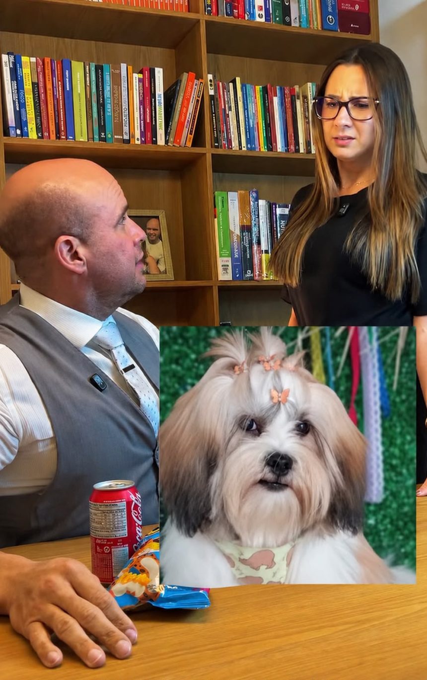 Do Prato do Pet a Mamadeira