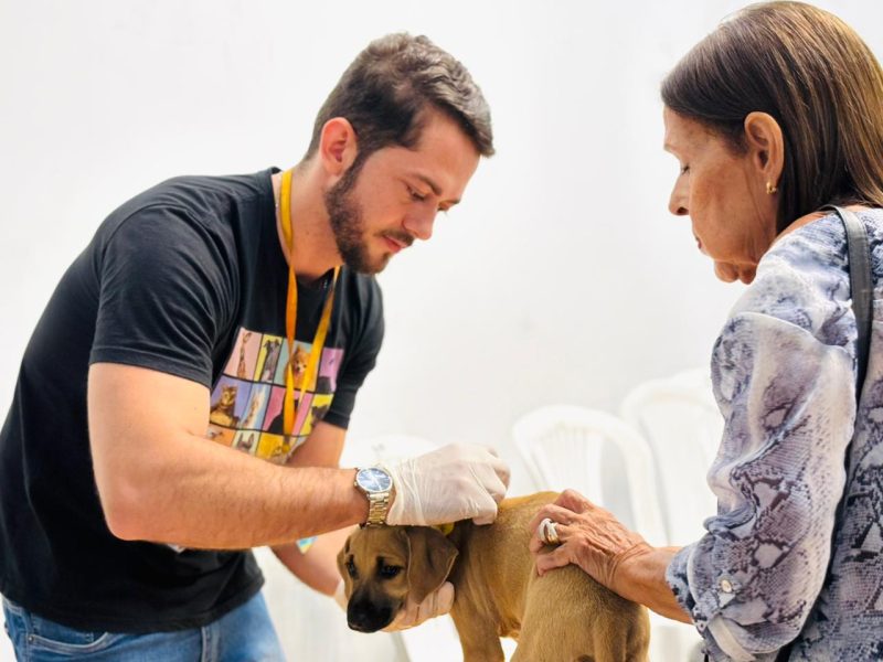aju animal prefeitura de aracaju registra 319 atendimentos v 20260608