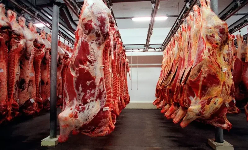 alckmin promete reverter embargo da ue sobre carnes brasilei 20260609