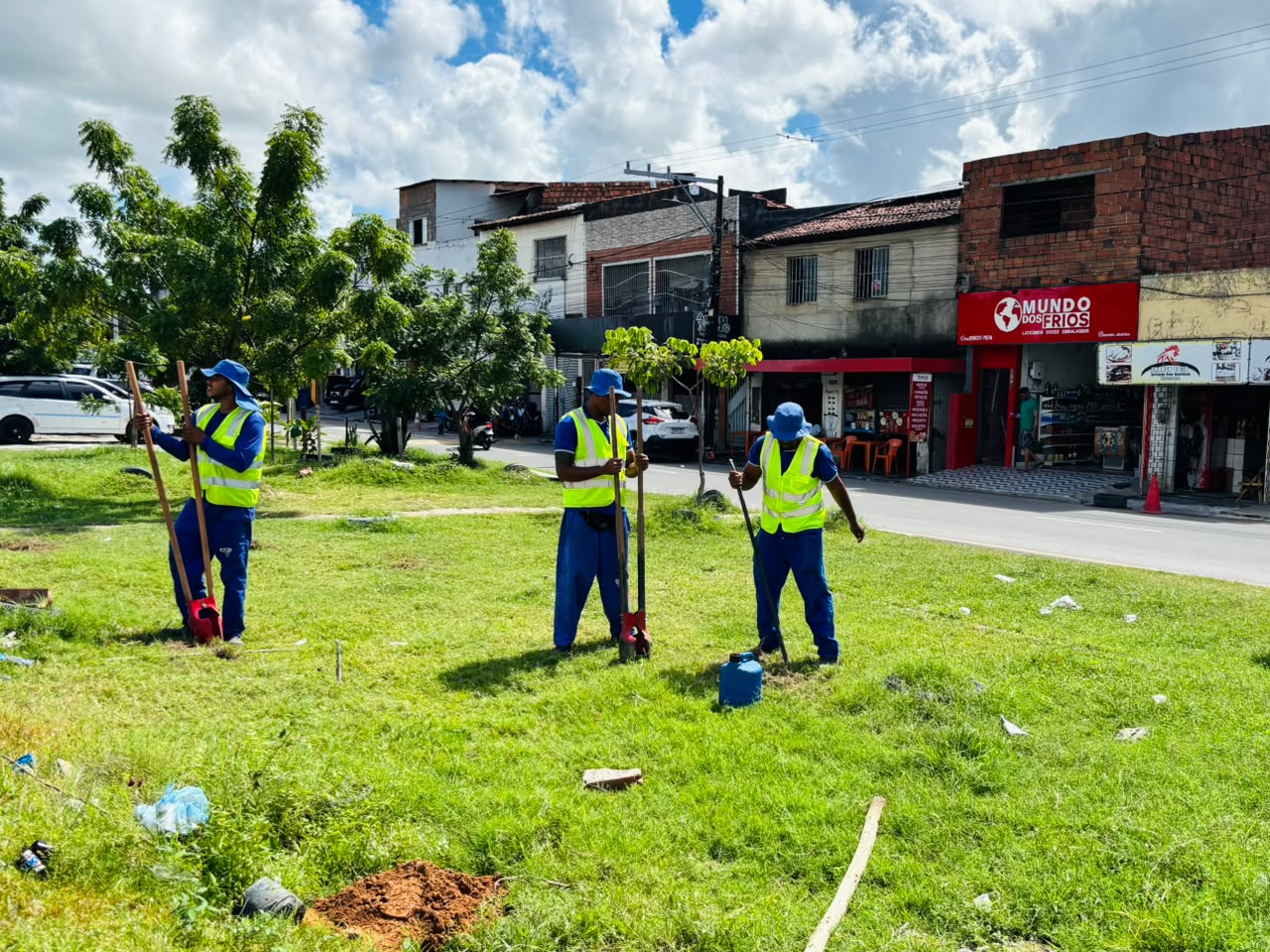 aracaju planta 34 rvores nativas na avenida santa gleide na 20260619