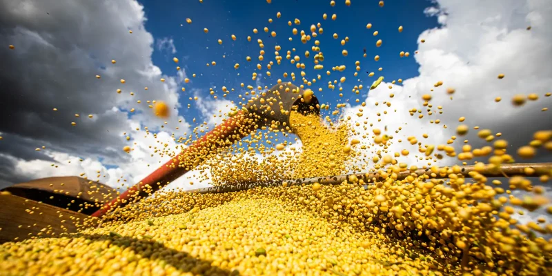conab prev recorde brasil pode produzir 358 6 mi de tonelada 20260611