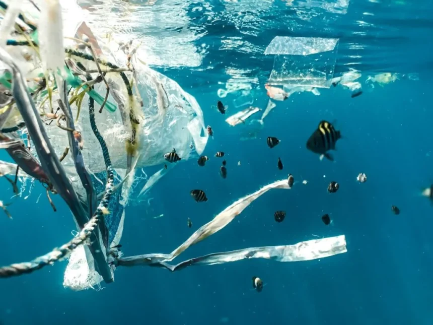 onu alerta oceanos em colapso amea am 70 do planeta 20260609