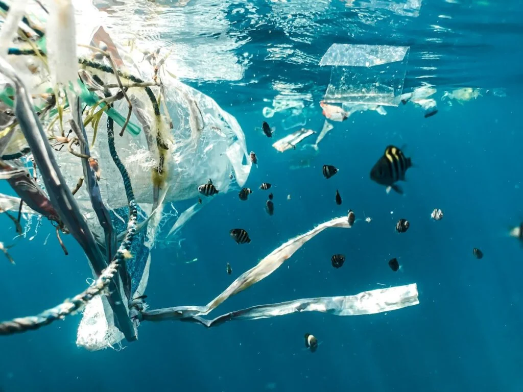 onu alerta oceanos em colapso amea am 70 do planeta 20260609