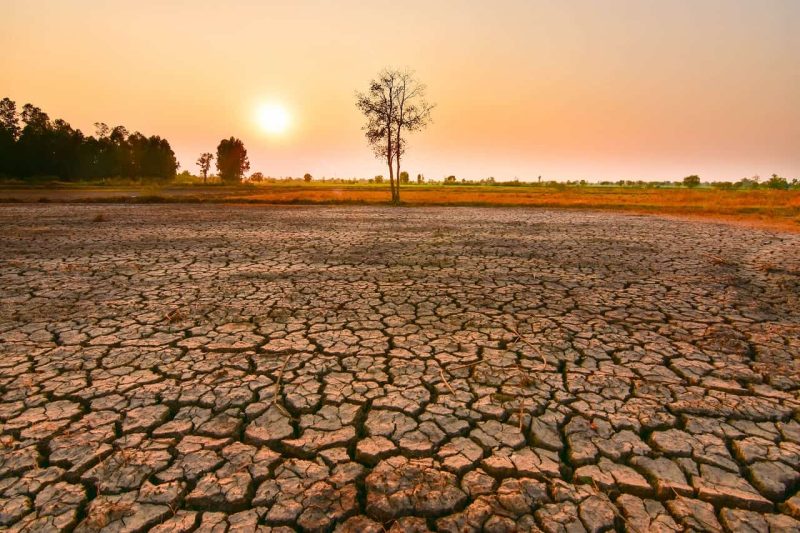 onu alerta sobre risco de calor extremo global devido ao el 20260603