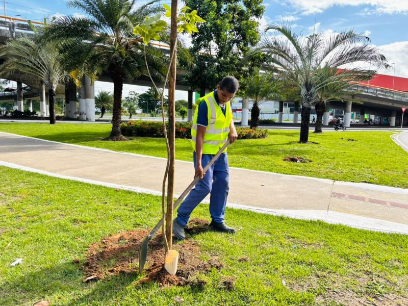 prefeitura de aracaju realiza plantio de 40 mudas nativas na 20260608