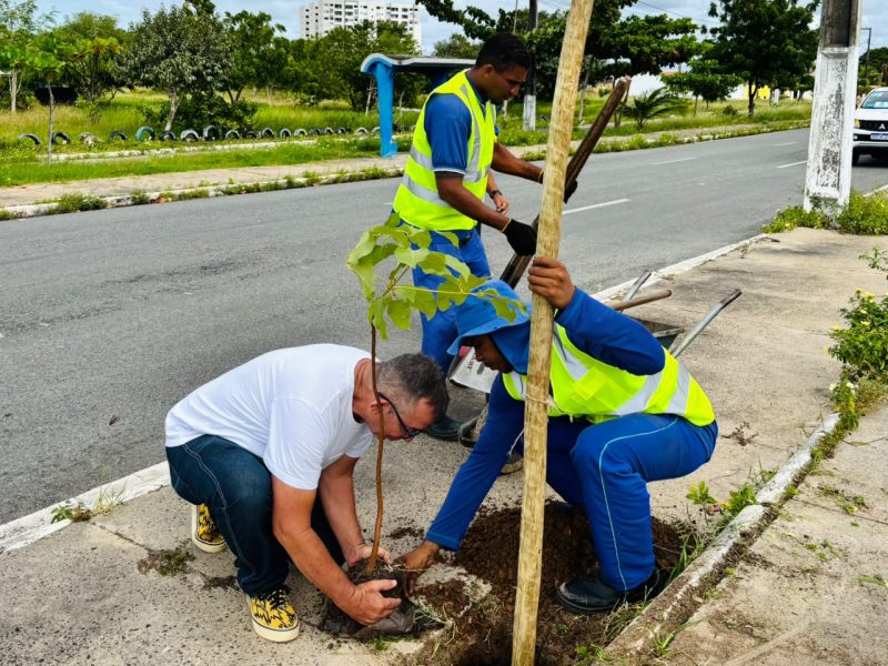prefeitura de aracaju realiza plantio de mudas no bairro aru 20260609