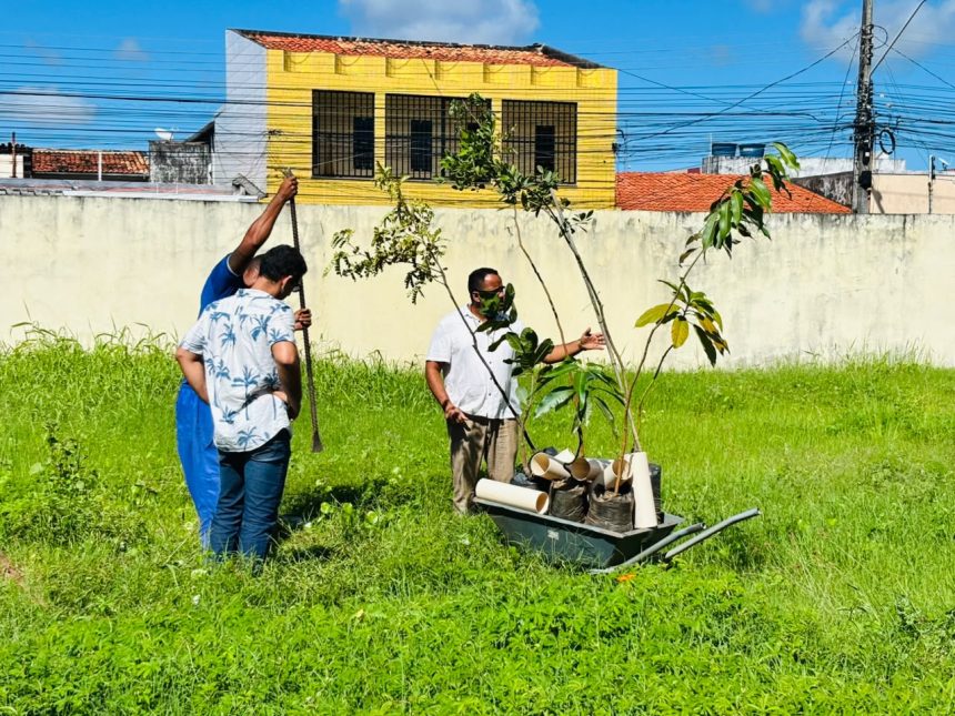 sema planta rvores frut feras no jo o costa e amplia educa o 20260623