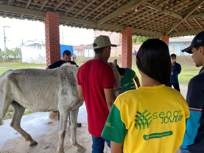senar realiza aula pr tica de casqueamento de equinos no cen 20260626