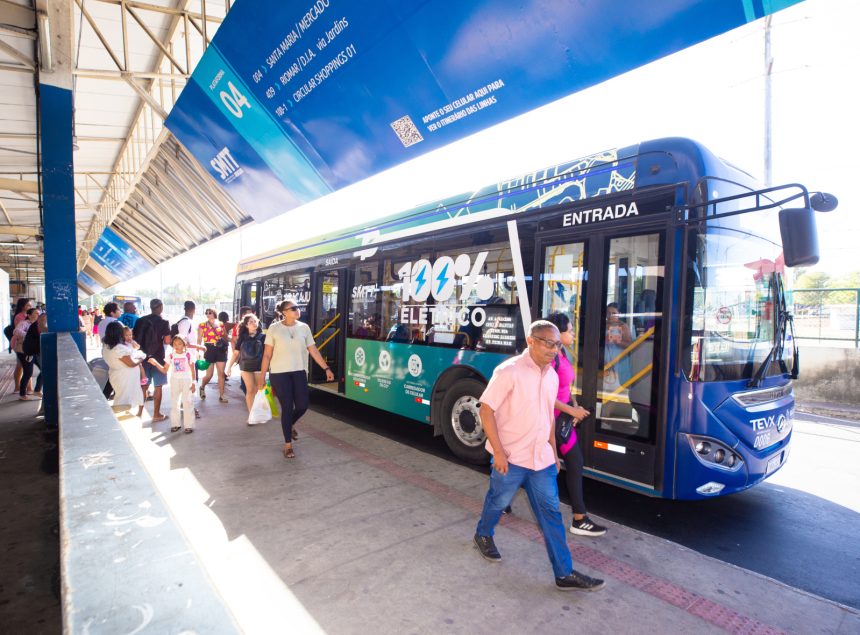 tce se confirma regularidade em contrato de compra de nibus 20260622