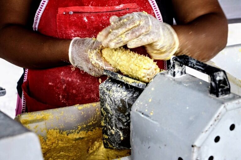 Feira Junina da Ceasa Aracaju promete forró pé de serra e boas vendas 3 tmp21sav46v